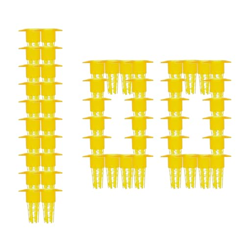 ハニービークイーンキャッチャー、クイーンビー分離ケージ | プロのクイーンケージ100x - 屋外用のプロの安定構造農場で育てられたハエ保護装置