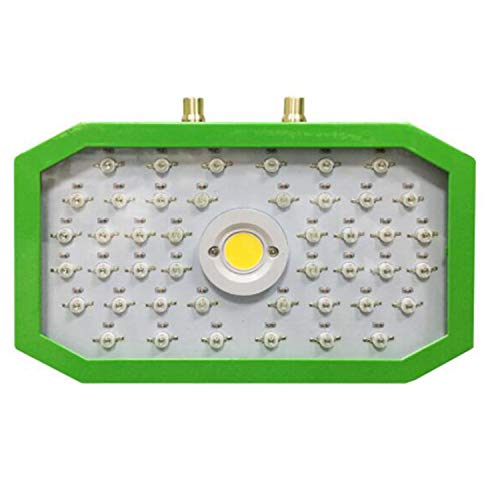 Nrpfell LED Plant Growth Lamp 1000W Full Spectrum Indoor Greenhouse Planting Tent Plant Growth Led Adjustable Light Source Lamp UK Plug