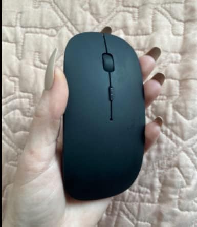 Mouse