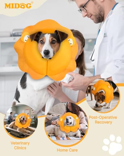 Image of MIDOG Inflatable Dog Cone, Lion Mane Recovery Collar, Medium