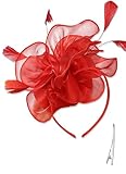【Anwendung】Dieser zeitlose, noble und elegante Vintage inspirierte Feder fascinator Hut ist für Hochzeit Fascinator, Teepartyhut, Cocktailhut, schwarzen fröhlichen Hut oder irgendeinen besonderen Anlass passend.