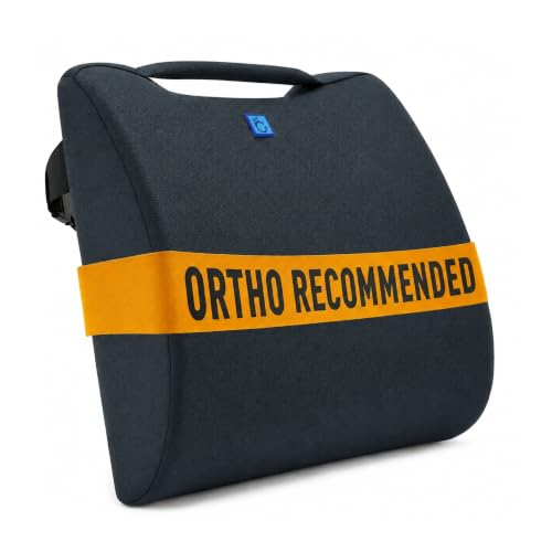 Image of Back Support for Office Chair | 5-Year Warranty | Premium High Density Foam Lumbar Pillow | Orthopedic Backrest for Lower Back & Sciatica Pain Relief | Ergonomic Chair Cushion(Slate Grey)