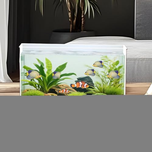 Nano aquarium transparent pour optimiser l'espace des petits élevages - 4