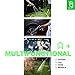 Nifty Grower Expandable Garden Hose 100FT - Hoses Expandable 100 FT Heavy Duty w/ Double Latex Core - 100 Foot Hose w/ Brass Fittings - Collapsible Hose 100FT - No-Kink Expanding Hose 100 FT