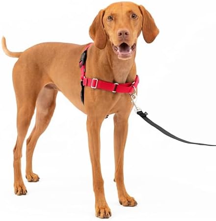 PetSafe Easy Walk Harness for Small, Medium or Large Dogs, 1.8 m ...