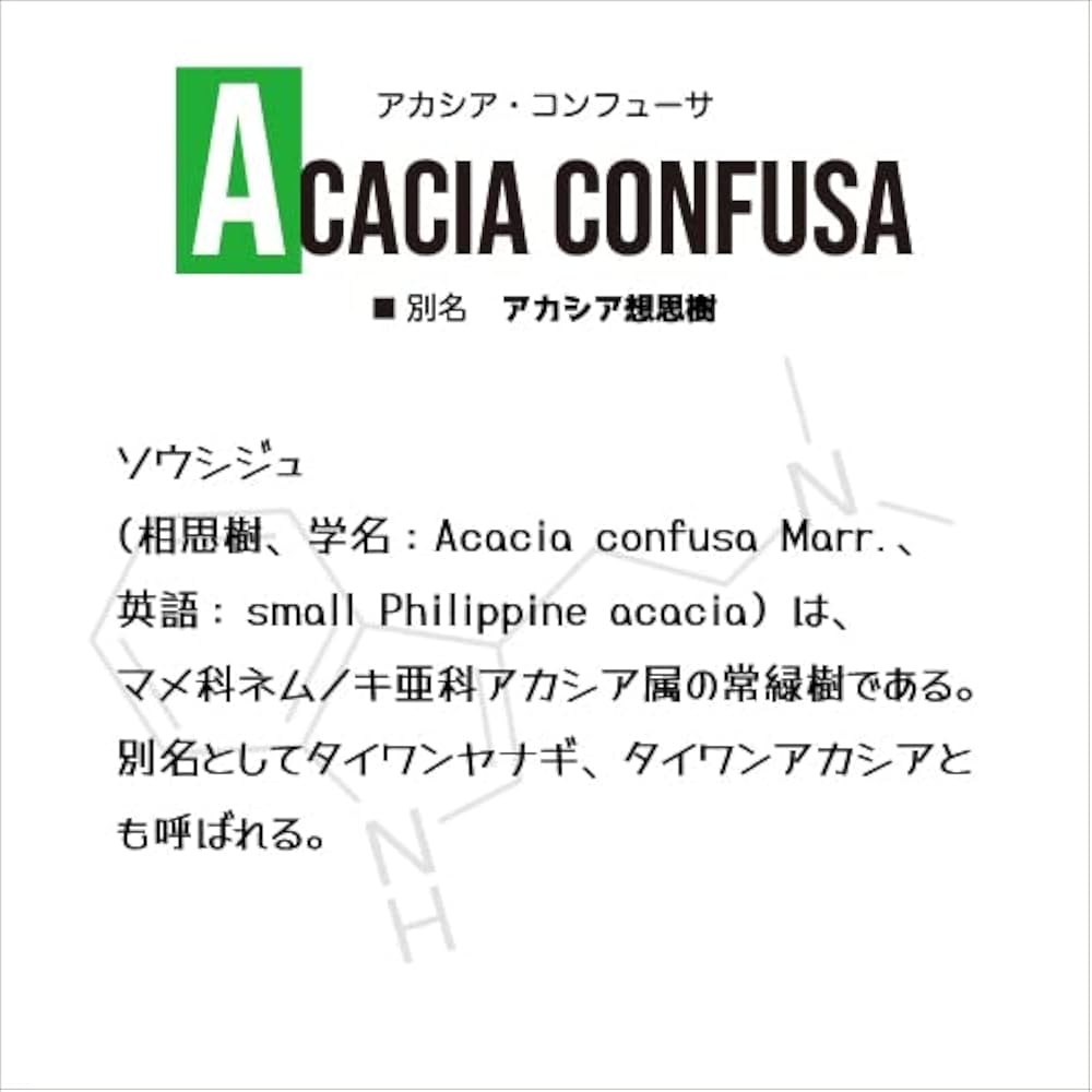Acacia Confusa 種子 25粒+ Acacia Confusa 種子 25粒+