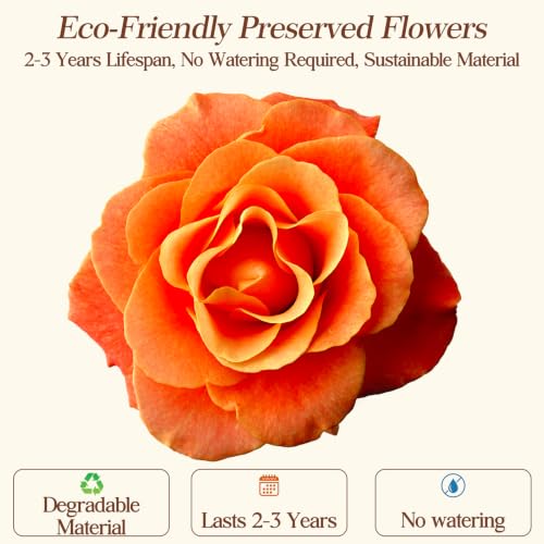 Forever Roses Birthday Gifts for Mom Women Girlfriend Wife and Grandma - Image 3