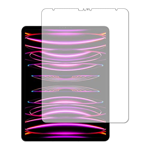 Apple iPad Pro 12.9 �C���` (�� 6 ����E2022 �N�������f��) [ �݊��i �u���[���C�g�J�b�g ���˖h�~ �ی�t�B���� | ��ʗp ] �t��,�w��h�~