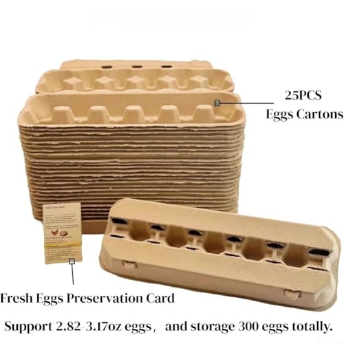 Huevos de cartón blanco de 30 x 20 x 4 cm con tapa para docena resistente 4