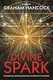 The Divine Spark: Psychedelics, Consciousness and the Birth of Civilization - Graham Hancock 