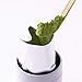 Ippodo Tea - Ummon Matcha (0.7oz) - For Usucha and Koicha - Rich & Robust - Kyoto Since 1717