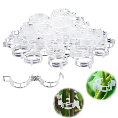 MagiSel 200 Piezas Jardín Plant Clips, Clips de Vine Planta, Clips de Soporte para Plantas, Clip para Tomate, Clips de Injerto de Plantas, Anilla Clip de Transparente, para Soporte y Guía de Plantas