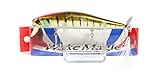 エバーグリーン(EVERGREEN) プロップベイト ウェイクマジック 15g 10.5cm ベイビーギルN N050