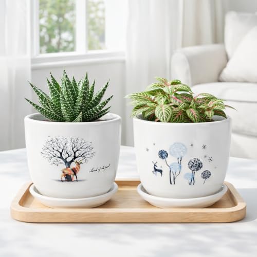 Image of Xtore Charming Ceramic Planter Pots with Drain Tray | Set of 2 Decorative Flower Pots for Indoor Plants, Balcony & Tabletop Styling (Pack of 2, Planters only)