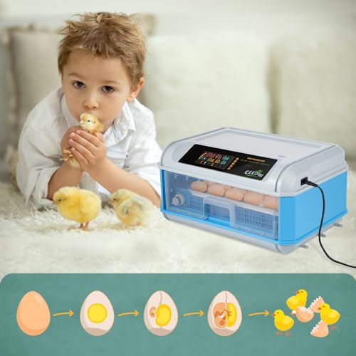 CEED4U incubadoras para incubação de ovos, incubadora para 24 ovos com viragem automática de ovos, c