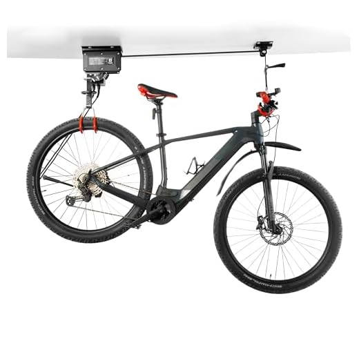 Pallit Elektrischer Fahrradlift | 100 kg Tragkraft | 3000 mm Hubhöhe | Fahrradhalterung für Decke | E-Bike Lift