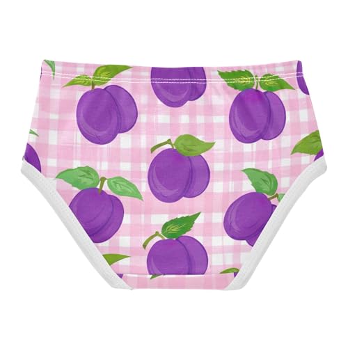 Toddler Underwear Floral 2t Cotton Girl Panties Cute Pattern Underpants Briefs Cartoon Purple Plums Pink Gingham2