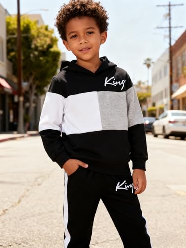 Image of Boys Sweatsuit Long Sleeve Color Block Hoodie Sweatshirt and Jogger Pants 2PC Sets Fall Clothes (Sizes: 4-8)