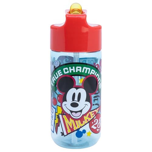 Stor Bouteille RÉUTILISABLE Hydro FABRIQUÉE en ECOZEN DE 430 ML | Mickey True Champions