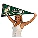 College Flags & Banners Co. Cal Poly Mustangs Pennant Full Size Felt