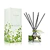 Lovspa eucalyptus essential oil reed diffuser gift set revive fresh eucalyptus sage citrus bamboo mint great aromatherapy gift for mom dad grandma or aunt  urban country home decor