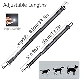 Zhtulck Anschnallgurt Hund Auto, Verstellbarer Elastischer Ruckdämpfung Hundeanschnaller für Alle Hunderassen, Katzen & Autotypen (50-85cm)
