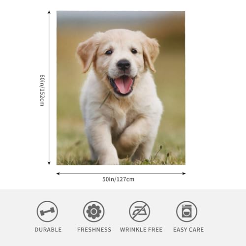 Couverture flanelle Labrador Retriever 152x127 cm