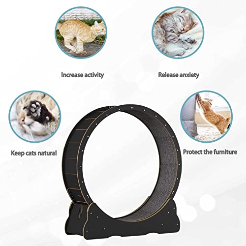 Tapis de course d'intérieur pour chat sédentaire avec grande roue de 109cm