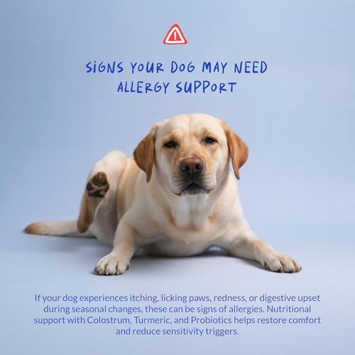 Image of Allergy Relief for Dogs 120 Tablets - Itch, Skin & Immune Support
