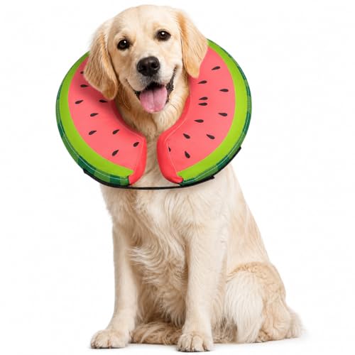 Image of MIDOG Inflatable Dog Cone After Surgery, Donut Collar for Large Dogs, L