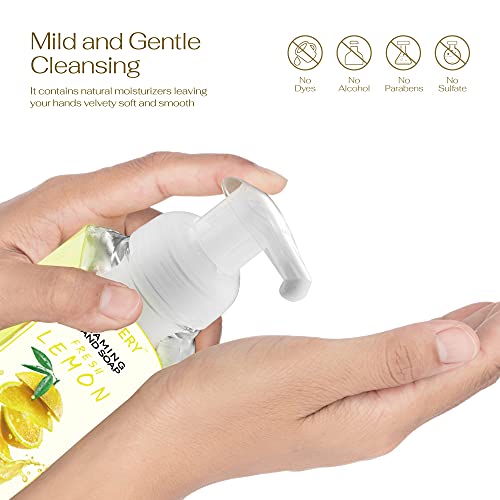 Foaming Hand Soap - Pack Of 3 - Moisturizing Hand Soap With Aloe Vera & Essential Oils - - Alcohol-Free Hand Wash In Fresh Lemon, Lemon Lime, Basil Lemon Scent - Scented Hand Wash For Kitchen Or Bathroom - Free Flawless Crystal Bracelet #TOP2