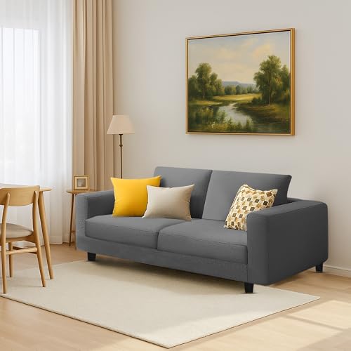 Image of Galib 2 Seater Sofa Set for Living Room (Dark Grey Fabric) Premium Fabric Sofa Set
