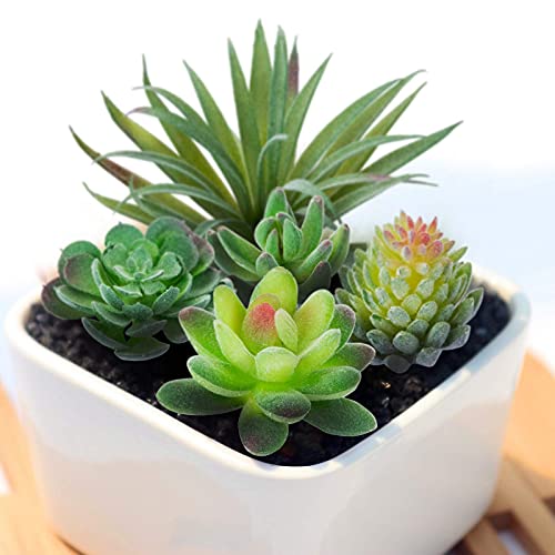 GWHOLE 16 Pack Mini Artificial Succulents Picks for Farmhouse Decor Indoor Wall Garden DIY