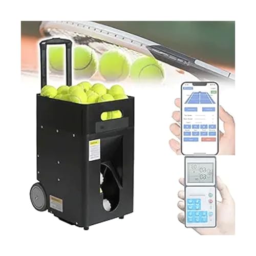 ejXo@ \tgejX K ejXT[uK@ Rt app t ԗ֕t }`pxo {[50 x50KM/H lKpgїpvejX{[}V ejX{[`[