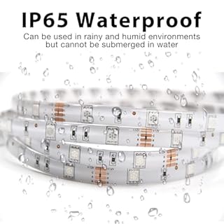 DAYBETTER Waterproof LED Light Strips 66ft, Outdoor LED Strip Lights Color Changing 5050 RGB LED Strip Lights with Remote Control, LED Lights for Indoor Outdoor Use, IP65 (2 Rolls of 33ft)