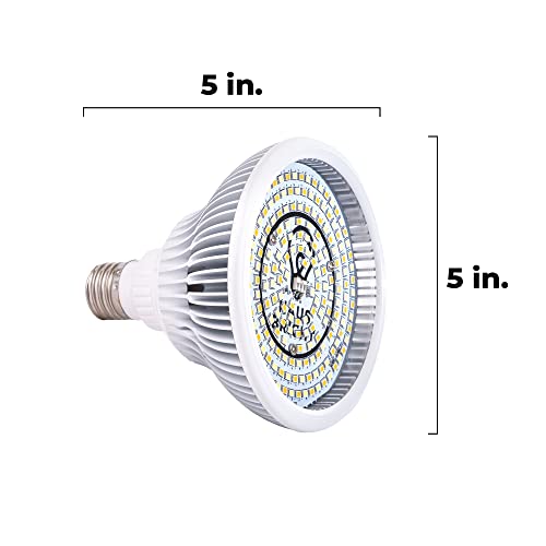 Haus Bright Smart Led Grow Light Bulb - Dimmable Warm, Cool & Daylight | Schedule & Timer | Full Spectrum Grow Lights Indoor Plants | Grow Lamp | E26/27 | 20W With 288 Ppfd #TOP6