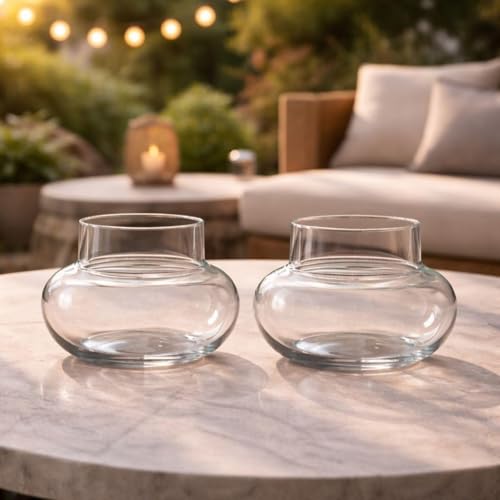 Image of Flora Solutions Glass pots for Lucky Bamboo Bowl transperant Glass Bowl (mini Pot 2 pak)