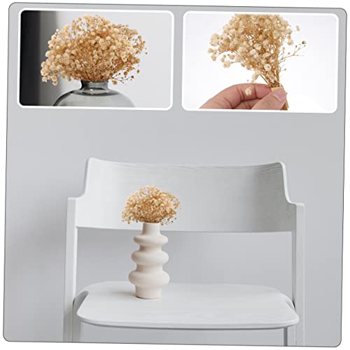 Ramo de flores secas Babysbreath para decoración miniatura 6