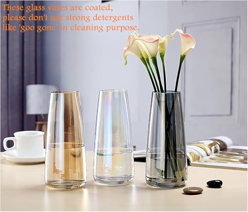 Image of Mahganya Decorative Glass Vase for Flowers Plants Home Decor Office Living Table Decorations, Vases for Home Decor, Luster Glass Vase, Heavy Weight, Sturdy (Transperent)