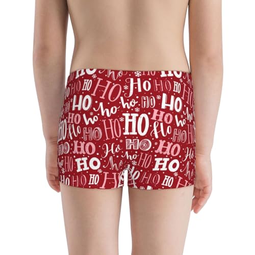 Boys' Cotton Boxer Brief Soft Underwear-Ho Funny Christmas3