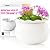 African Violet Pots 6 Inches Ceramic, Effortless Self Watering Pots for Indoor Plants for Busy Plant Lovers, Easy Plant Self Watering Pot, Plant Pots, Flower Pot, Plant pots Indoor
