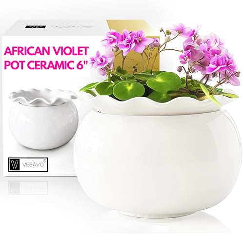 African Violet 6 Inches Ceramic Flower Pots, Self...