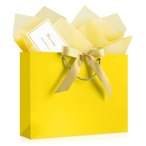 Image of JMANNI Gift Bags with Handles, 13 inch Medium Gift Bags with Tissue Paper