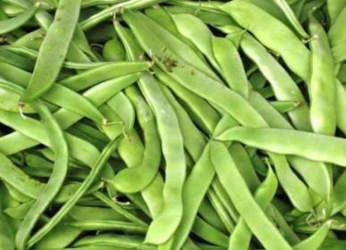 Roma Ii Italian Bush Bean Seeds For Planting, 30+ Heirloom Seeds Per Packet, (Isla's Garden Seeds), Non Gmo Seeds, Botanical Name: Phaseolus Vulgaris, Great Home Garden Gift #TOP3