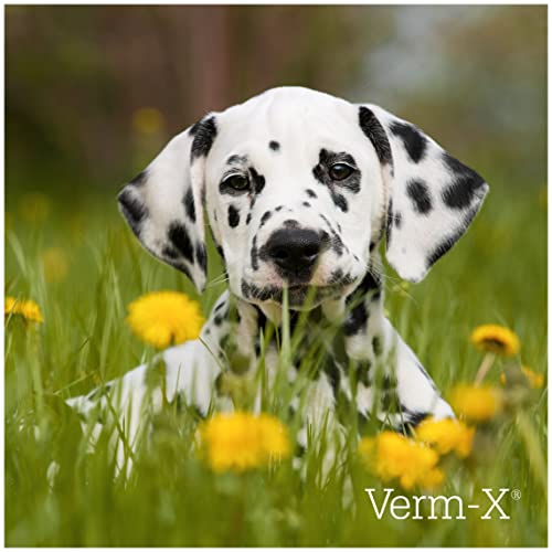 Verm-X Leckerchen für Hunde