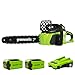 Produktbild Greenworks Akku-Kettensäge GD40CS40K2x (Li-Ion 40V 11 m/s Kettengeschwindigkeit 40cm Schwertlänge 180ml Öltankvolumen leistungsstarker brushless Motor inklusive 2x 2Ah Akku und Ladegerät)