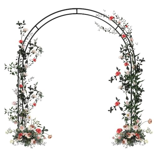 Arche de jardin robuste pour tuteurer vos rosiers sans fléchir