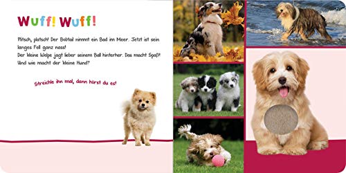 Hör mal rein, wer kann das sein? – Kuschelige Tiere: Streicheln und hören | Hochwertiges Pappbilderbuch mit 5 Sounds und Fühlelementen für Kinder ab 6 Monaten