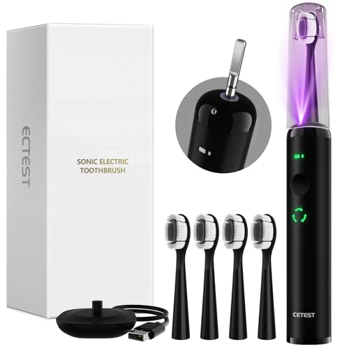 Brosse à dents électrique noire avec minuteur et brossettes