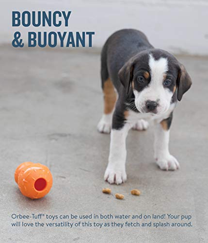 Planet Dog Orbee-Tuff Diamond Plate Double Tuff Treat-Dispensing Orange Dog Toy, Medium #TOP5